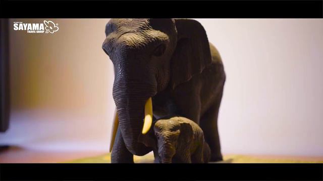 ORCHIDACEA RESORT 3*. Лучшие отели Пхукета смотреть онлайн