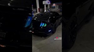 Black Mustang-I Make Money