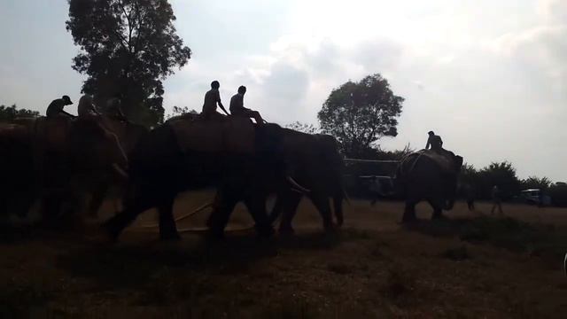 Bchb смотреть онлайн