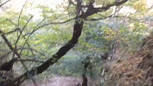 Бештау. Кавказские Минеральные Воды