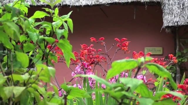 Bunratty Castle and Folk Park, County Clare, Ireland, August 2009 смотреть онлайн