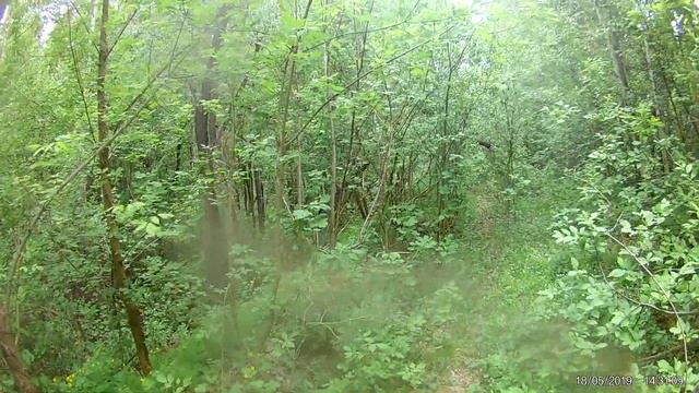 2019-05-18 велопоход смотреть онлайн