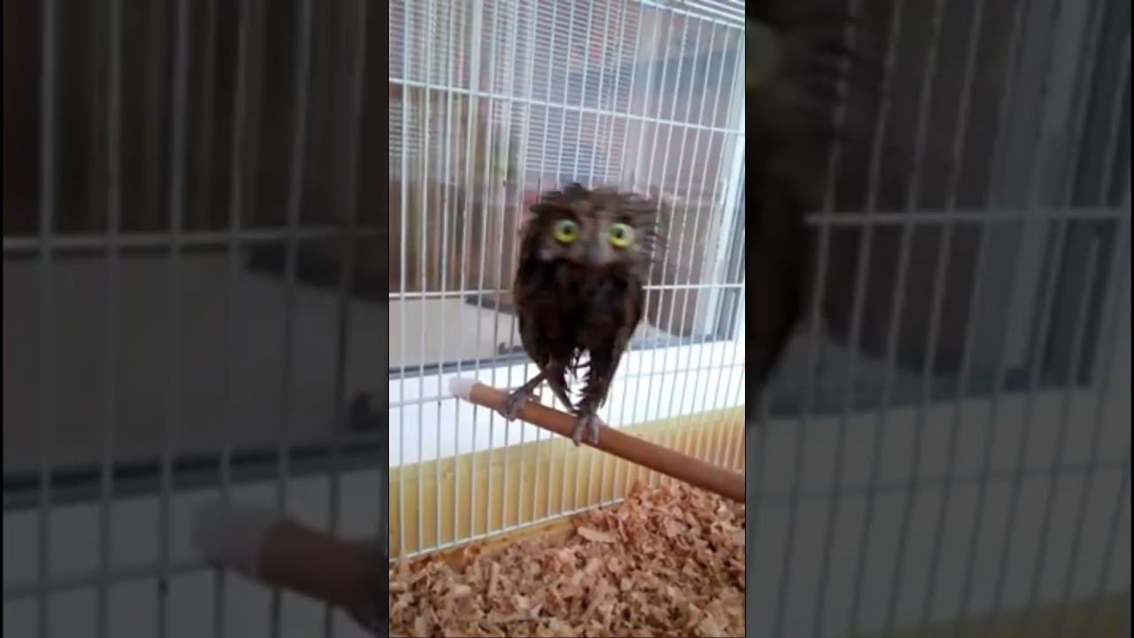 Внезапно бросил пить.