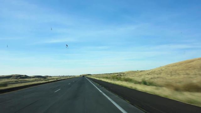 Drive through great nature in Washington! Music & Food Explosion US Tour!【Subtitles】 смотреть онлайн