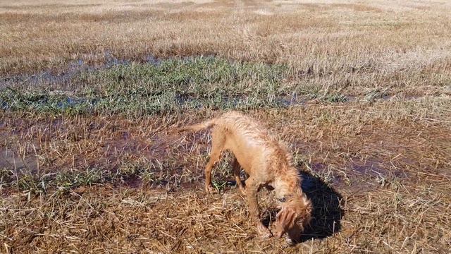 V kališti 3.září 2020 смотреть онлайн