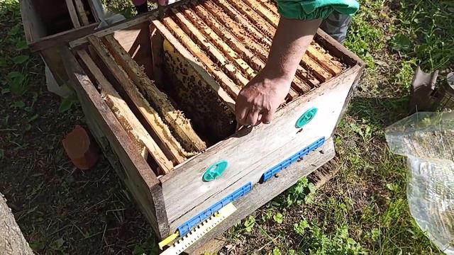 Среднерусская развитие на 15 мая 2023 смотреть онлайн