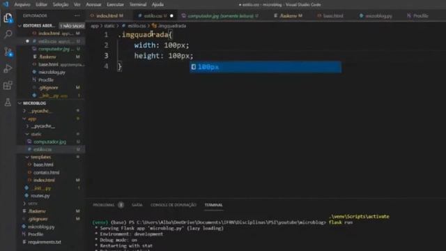 [Flask] Incluindo arquivos estáticos (imagens e css) no seu projeto Flask - Aula #07 смотреть онлайн