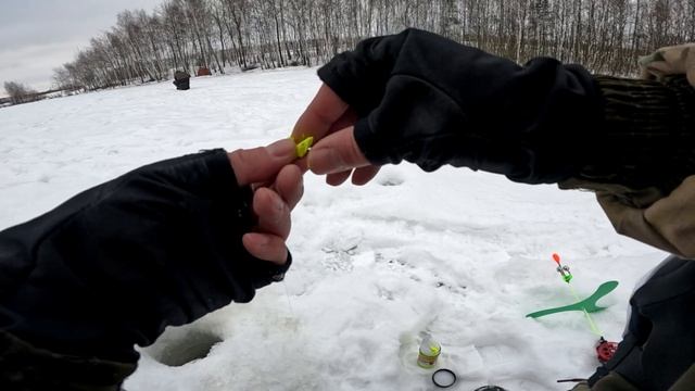 Форелевая рыбалка. Канал Среда рыбака. Тест подводной камеры rivertech c5. Подводные съёмки. смотреть онлайн
