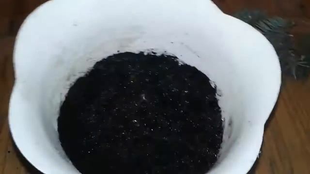 Магазин "Планета АГРО" Как укоренить голубую ель смотреть онлайн