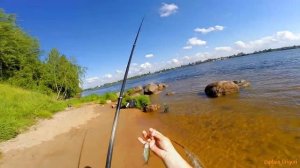 Рыбалка на реке Нева уклейка, форель и окушок   fishing on the river Neva trout okushok