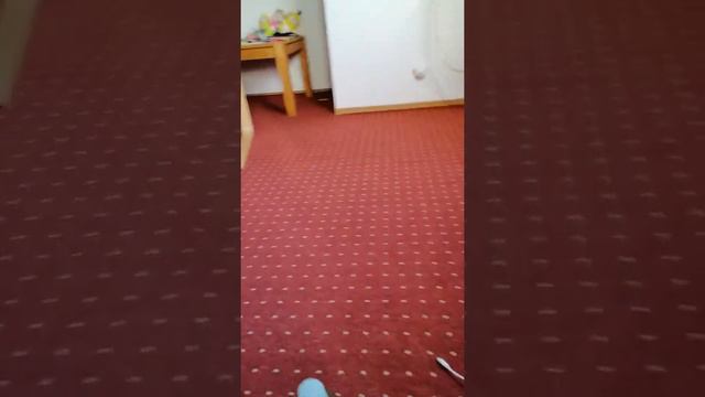 Я была в нетто магазине купила чаечек газированый сок в маленькой бутылочке не нашла смотреть онлайн