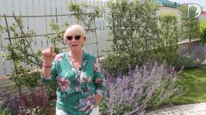 Видео журнал «Сады в отличной форме №39» Маленький сад. Красиво, уютно и профессионально..mp4