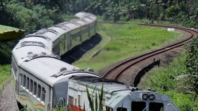 Lagu Anak - Naik Kereta Api Tut Tut Tut - Lagu Anak Terpopuler смотреть онлайн