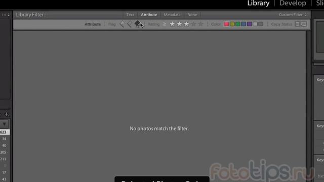 Lightroom. Урок 3 - Поиск фотографий