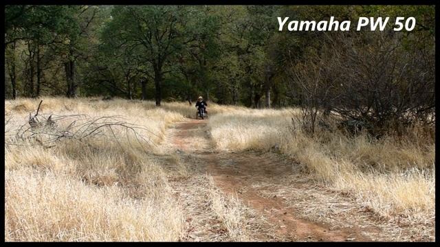 Yamaha PW 50 Vs Honda CRF 50