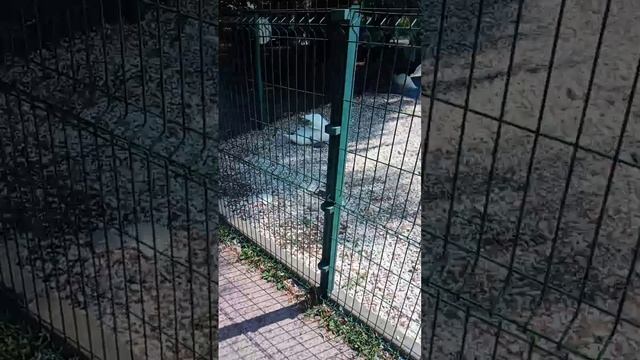 ростов смотреть онлайн
