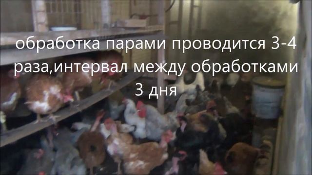 ЙОД ОДНОХЛОРИСТЫЙ- ОТЛИЧНЫЙ СПОСОБ ДЕЗИНФЕКЦИИ КУРЯТНИКА смотреть онлайн