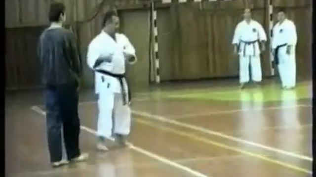 Окинавское карате Практический курс 2 64 смотреть онлайн