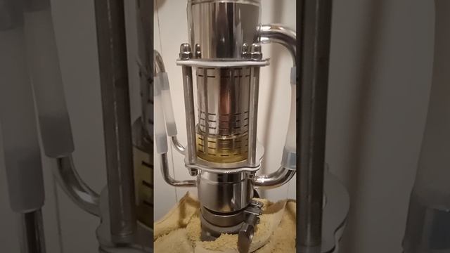 VID_20240128_104235_077.mp4