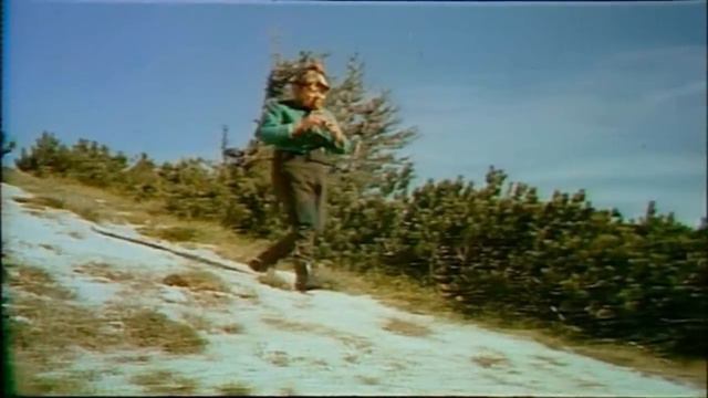 J-Cut & Kolt Siewerts - The Flute Tune (Soulpride Remix) смотреть онлайн