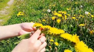 Как плести венок из одуванчиков, ромашек, травы и полевых цветов на голову пошагово!!!РЕЛАКС!Relax!