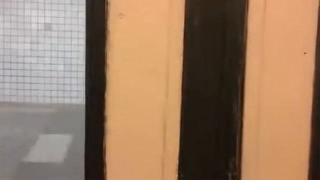 Поезд "Ёж3" 81-710/508Т (Станция Полежаевская Таганско-Краснопресненская линия) смотреть онлайн