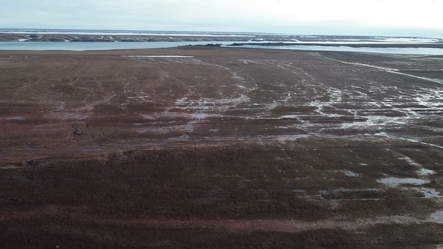 Северная Земля, о. Комсомолец, бухта Узловая, северный берег. 25.08.2019 смотреть онлайн