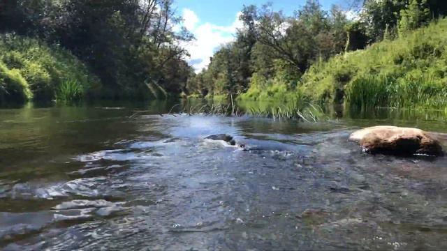 Река Сестра, велопоход по междуречью. смотреть онлайн