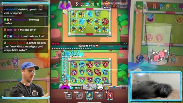 Beating *TOXIC BMer* in Rush Royale! смотреть онлайн