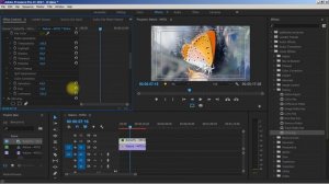 Как заменить фон на видео просто для новичков / Видеомонтаж за несколько минут в Premiere Pro