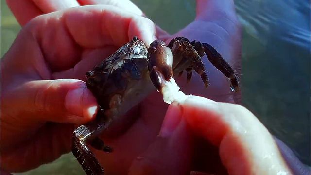 ОТДЫХ НА ЧЁРНОМ МОРЕ смотреть онлайн