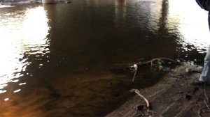 ✅ Первый заброс поиск железа в реке поисковым магнитом