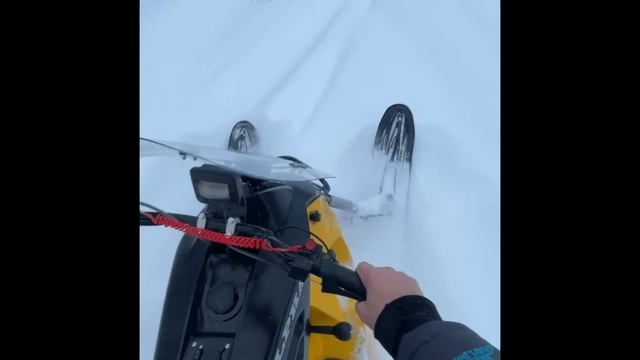 Лидер альфа 3 лонг смотреть онлайн