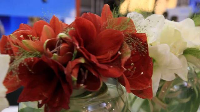 Фотофорум 2012 смотреть онлайн