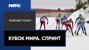 Лыжные гонки. Кубок мира. Спринт