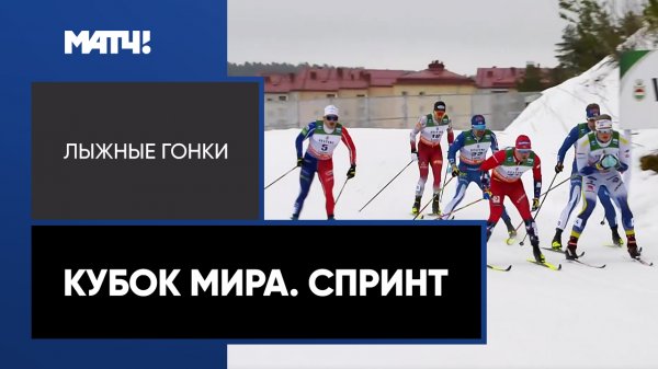Лыжные гонки. Кубок мира. Спринт