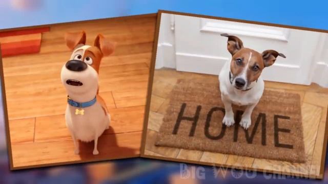 The Secret Life Of Pets 2 IN REAL LIFE!!! смотреть онлайн