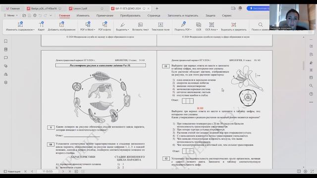 Разбор ДЕМОверсии ЕГЭ по биологии 2024 (ФИПИ) смотреть онлайн