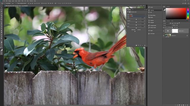 Photoshop | Selective Color Adjustment Layer смотреть онлайн