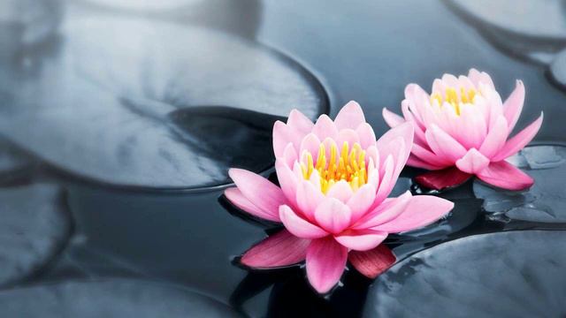 Там темно смотреть онлайн