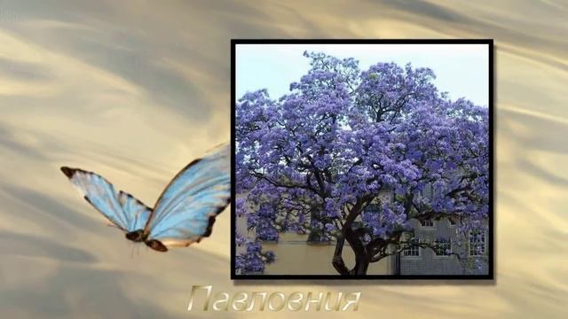 Неповторимость весны в цветущих деревьях и кустарниках смотреть онлайн