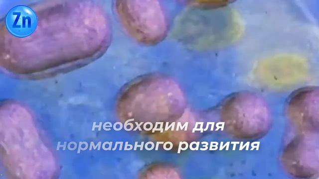 ЦИНСИЛ смотреть онлайн