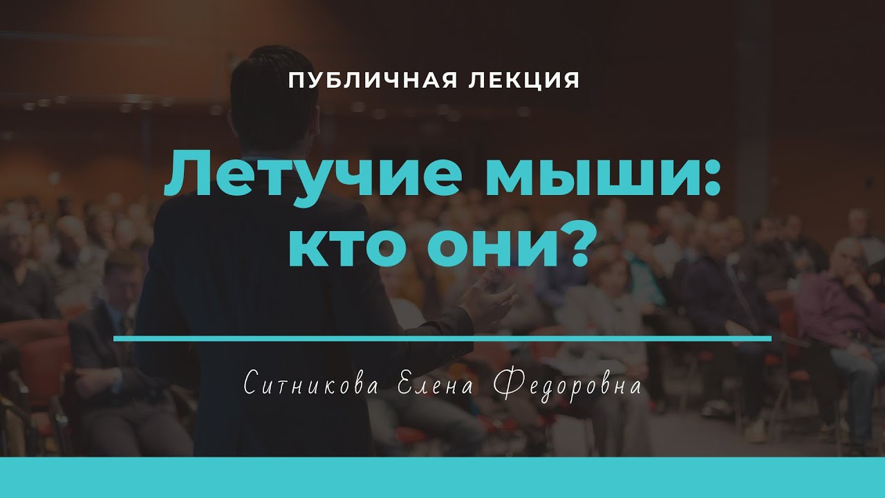 Лекция Е.Ф. Ситниковой «Летучие мыши: кто они»