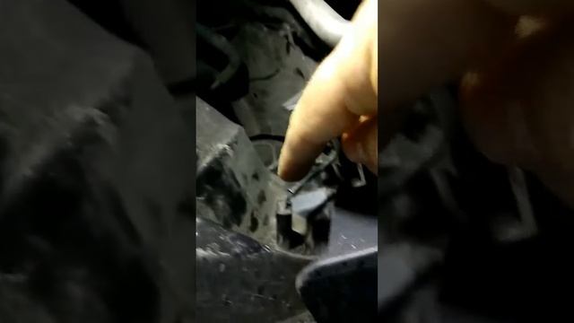 Свет несгораемости