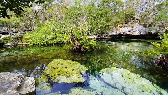 CENOTE AZUL in less than 2 MINUTES! in 4k! смотреть онлайн