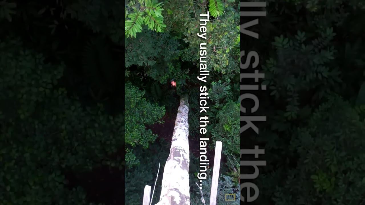 Человек-Паук и Реальность смотреть онлайн