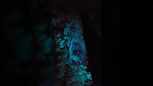 "Волшебный лес" фестиваль Вдохновение парк Останкино. ВДНХ смотреть онлайн