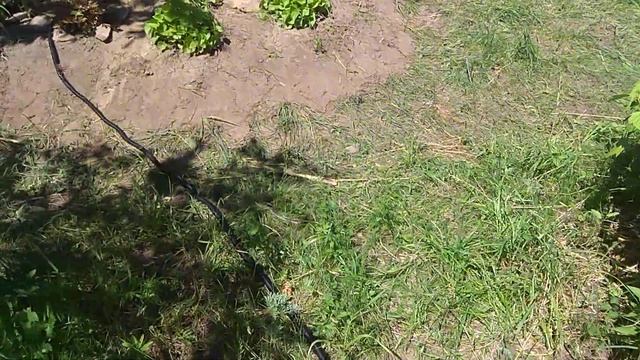 Садовый прудик смотреть онлайн