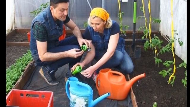 САЖАЕМ ОГУРЦЫ, ТОМАТЫ И ПЕРЕЦ В ТЕПЛИЦУ смотреть онлайн