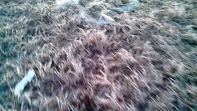 VID_20140417_061511 смотреть онлайн